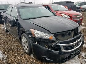 2010 Honda Accord