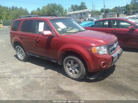 2010 Ford Escape