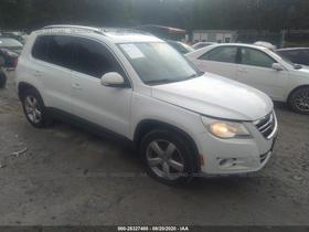 2010 Volkswagen Tiguan