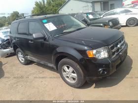 2010 Ford Escape