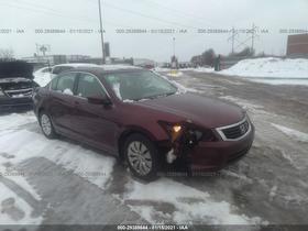 2010 Honda Accord