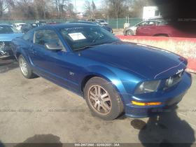 2006 Ford Mustang