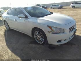 2011 Nissan Maxima