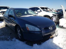 2004 Honda Accord