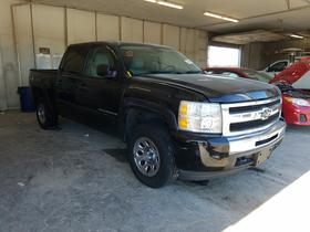 2009 Chevrolet Silverado 1500