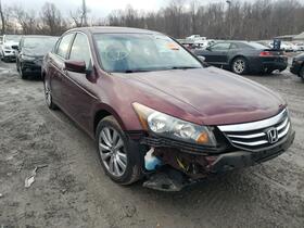 2011 Honda Accord