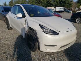 2020 Tesla Model Y
