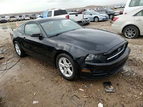 2013 Ford Mustang