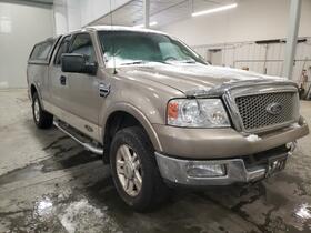 2004 Ford F-150