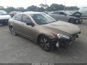2010 Honda Accord
