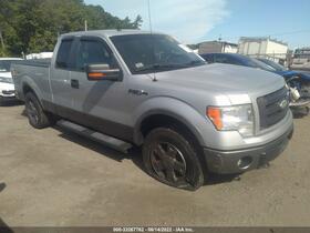2009 Ford F-150