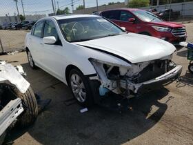 2010 Honda Accord