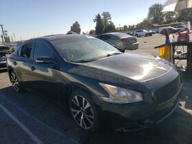 2014 Nissan Maxima