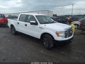 2009 Ford F-150