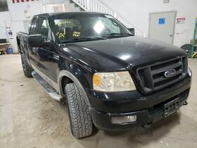 2004 Ford F-150