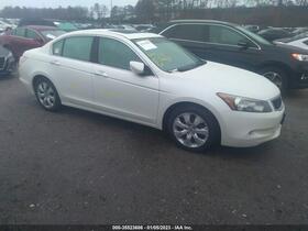 2010 Honda Accord