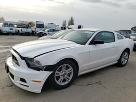 2013 Ford Mustang