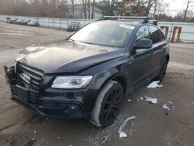 2015 Audi SQ5