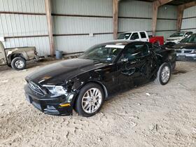 2013 Ford Mustang