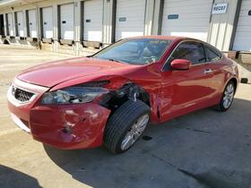2010 Honda Accord