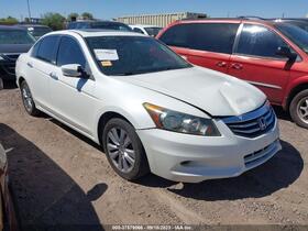 2011 Honda Accord
