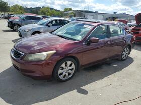 2010 Honda Accord