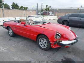 1986 Alfa Romeo Spider