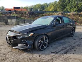 2019 Honda Accord