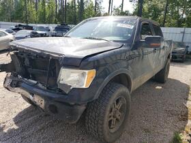 2010 Ford F-150