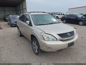 2004 Lexus RX
