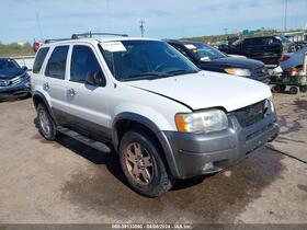 2004 Ford Escape
