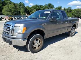 2010 Ford F-150