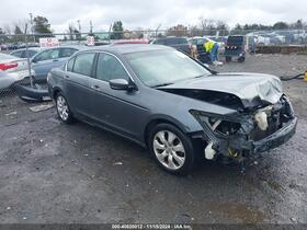 2010 Honda Accord