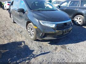 2024 Honda Odyssey