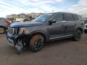 2024 Kia Telluride