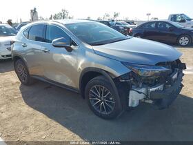 2024 Lexus NX