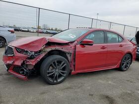 2019 Acura TLX