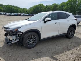 2024 Lexus NX 350
