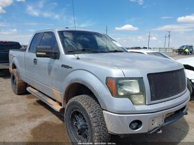 2010 Ford F-150