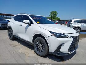 2024 Lexus NX 250