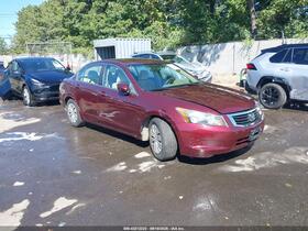 2010 Honda Accord