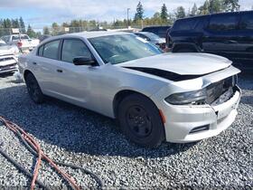 2019 Dodge Charger Police