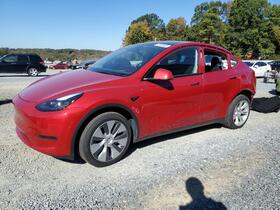 2024 Tesla Model Y