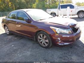 2010 Honda Accord