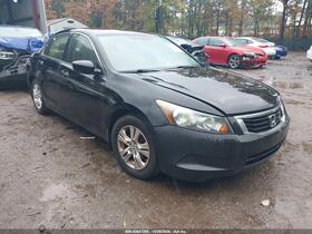 2010 Honda Accord