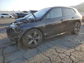 2024 BMW IX