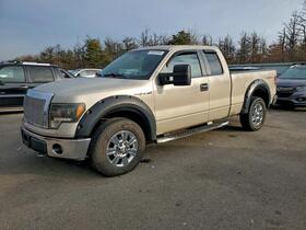 2010 Ford F-150