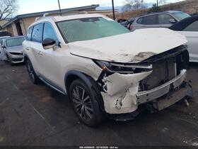 2023 Infiniti QX60