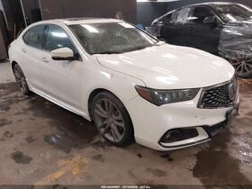 2019 Acura TLX