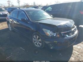 2010 Honda Accord